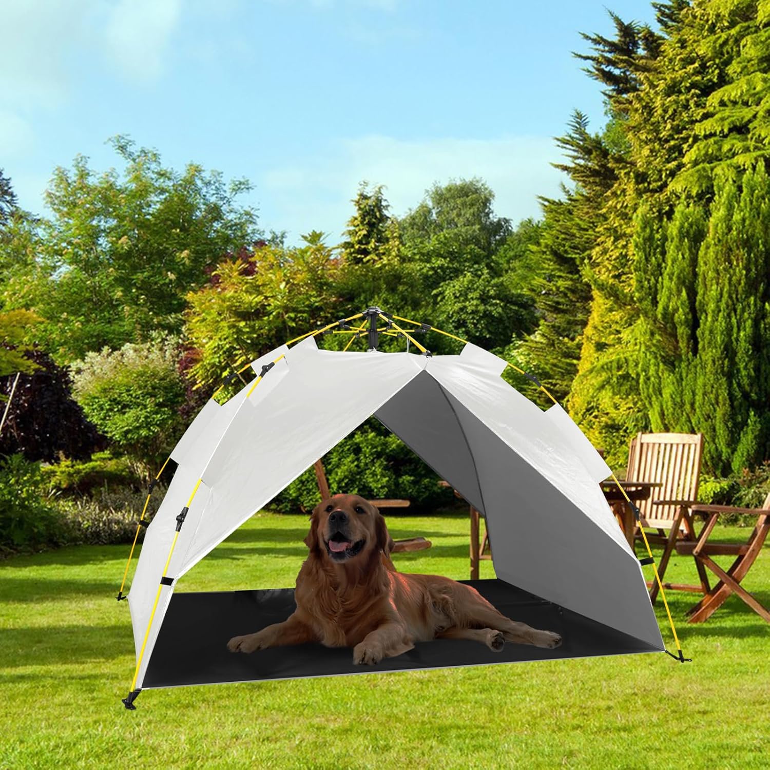 How to Weatherproof a Wooden Outdoor Dog Kennel (2026)