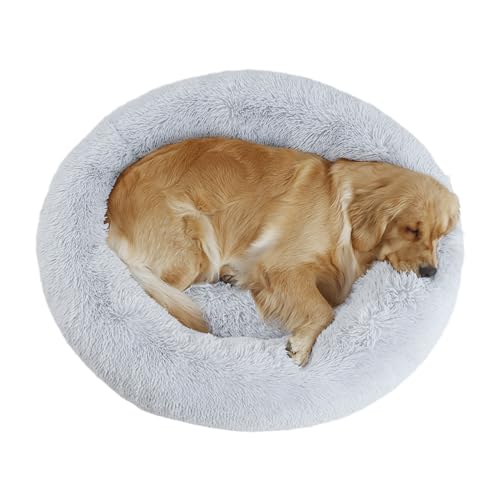 Donut vs Bolster vs Cave: Best Cozy Shapes for Small Dogs (2026)