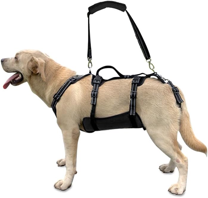 Coodeo Dog Lift Harness (Black,L)