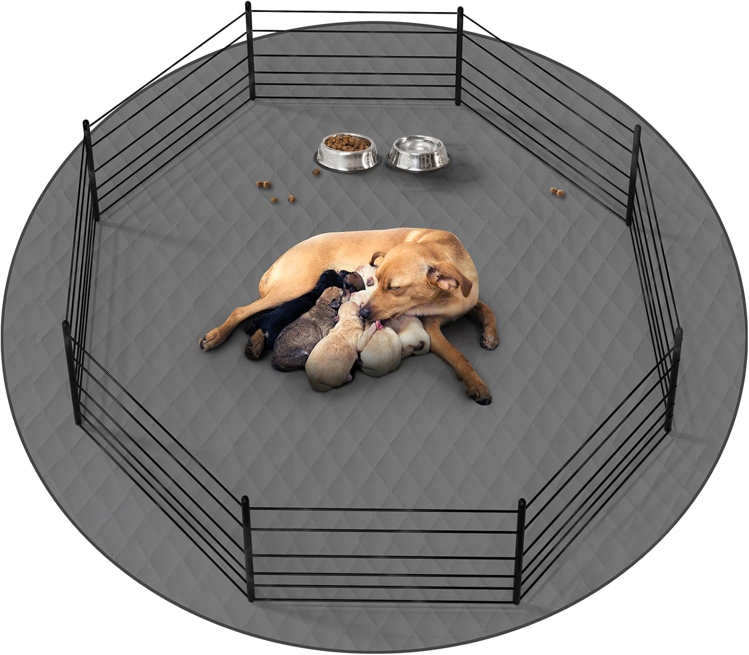 CoolShields Washable Puppy Pad