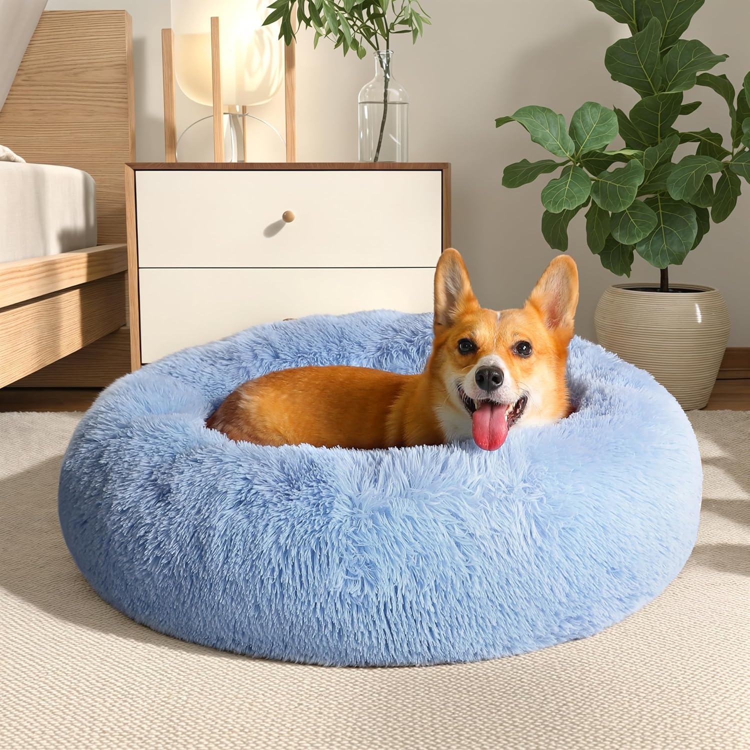 WESTERN HOME WH Calming Dog Bed (Budget)