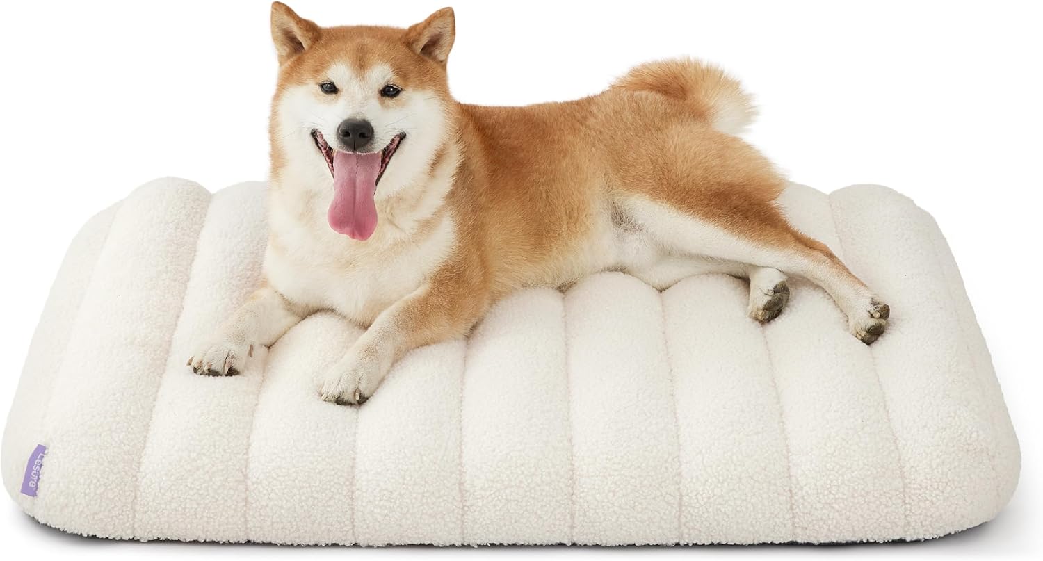 Lesure Orthopedic Pet Mat (30" x 20")