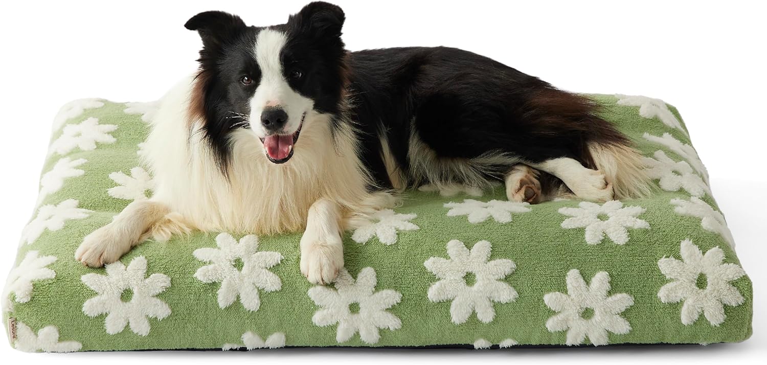 Lesure Large Dog Beds-Thick Shredded Chopped Foam Pet Bed Indoor with Removable Cover, Cute Modern Fuzzy Plush & Anti Slip Bottom, Green