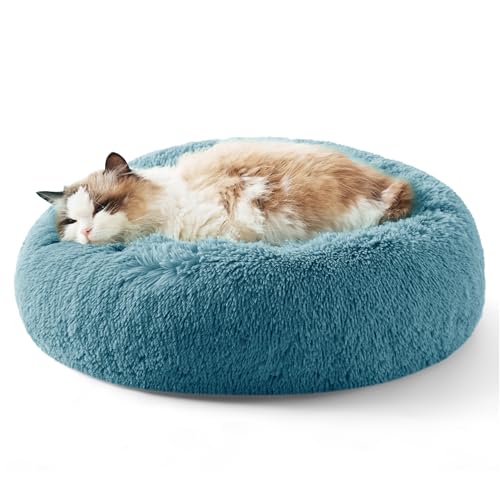 Best Washable Cat Beds for Shared Apartments (2026)