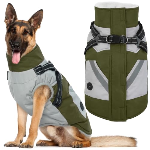 IECOii Dog Coat (Green)