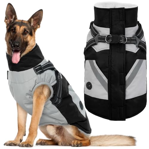 IECOii Dog Coat (Black)