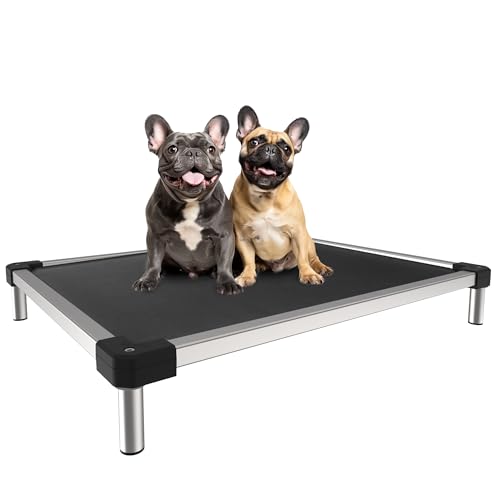 FXW TitanNest Chew-Proof Elevated Dog Bed, Raised Cot for Indoor/Outdoor/Camping Use, Durable & Waterproof Cooling Pet Bed for Small Dogs, 36.0" L x 24.0" W x 4.5" H, Black