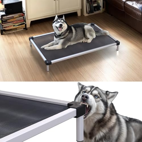 FXW TitanNest Chew-Proof Elevated Dog Bed