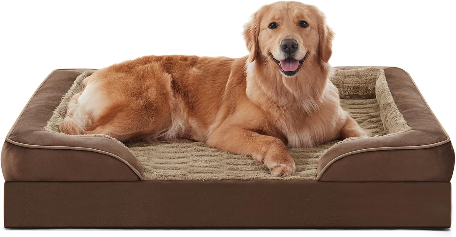 Best Elevated Dog Beds for Porches (2026)
