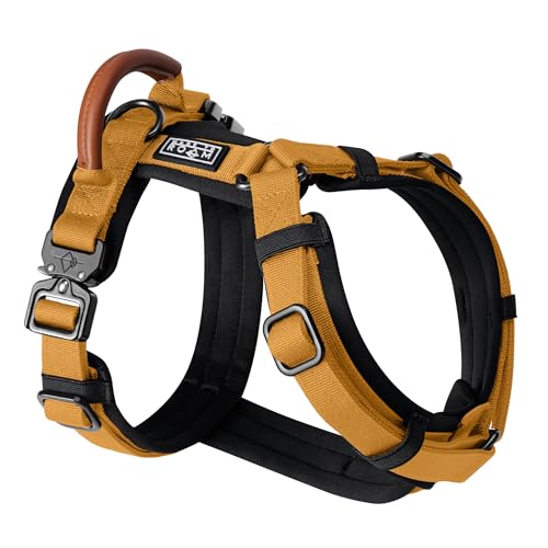 MADE TO ROAM Premium Explorer Harness - Y-Shaped Dog Harness with Adjustable Durable Nylon, Soft Padding, Metal Buckles and Leather Handle for Small, Medium, Large Dogs (Michigan Autumn, Size 4)