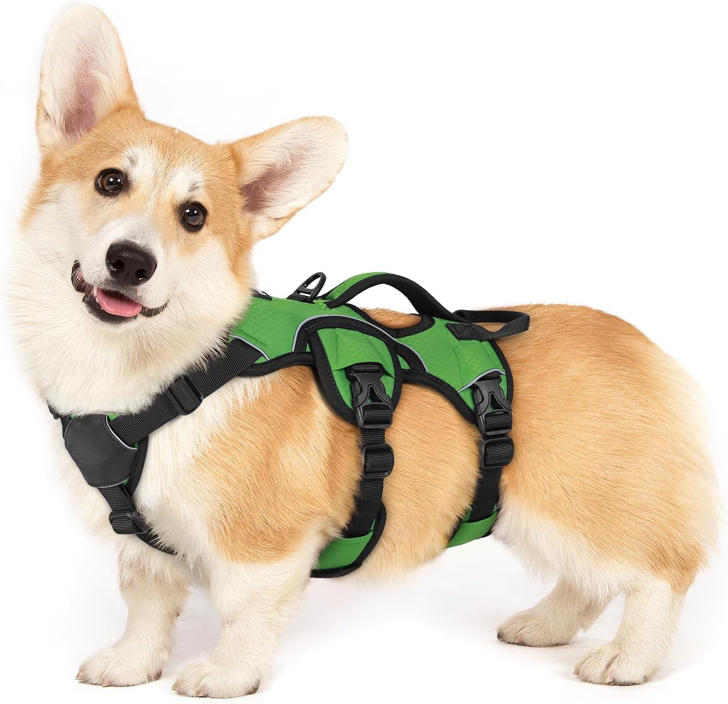 rabbitgoo Escape Proof Dog Harness (Green)