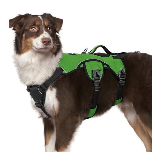 rabbitgoo Escape Proof Dog Harness, M