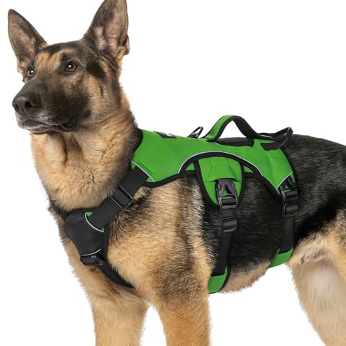 rabbitgoo Escape Proof Dog Harness, Soft Padded Full Body Pet Harness, Reflective Adjustable No Pull Vest with Lift Handle and Lesh Clip for Large Dogs Walking Hiking Training, XL, Green