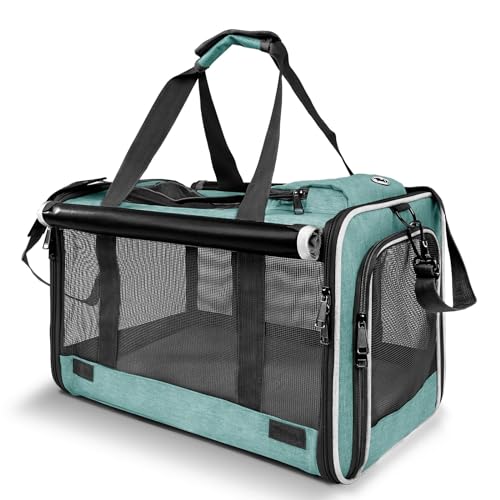 Complete Dog Road Trip Kit: Summer Edition (2026)