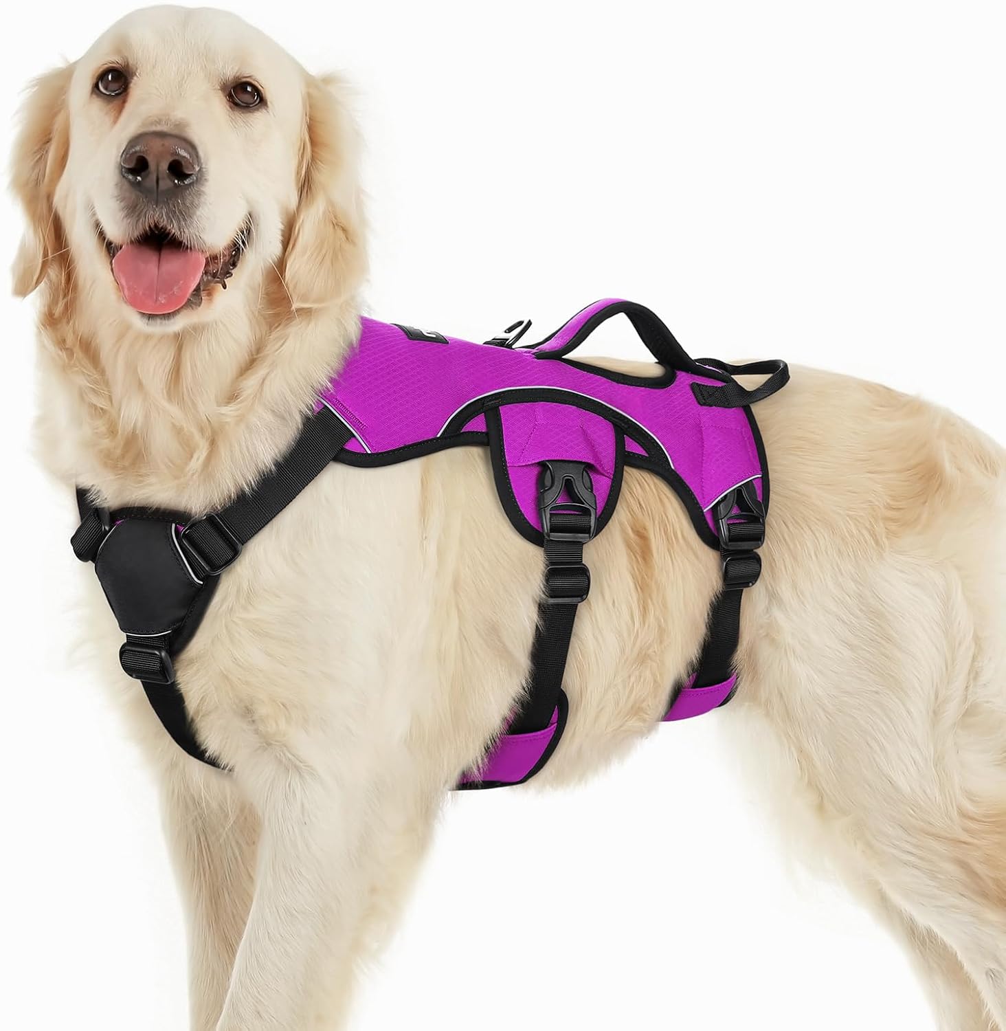 rabbitgoo Escape Proof Dog Harness (Purple)