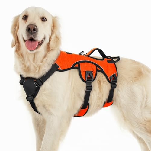 rabbitgoo Escape Proof Dog Harness (L)