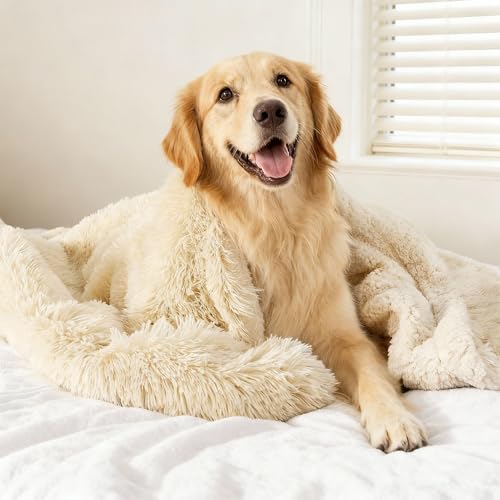 gogobunny Waterproof Dog Blanket (60x80")