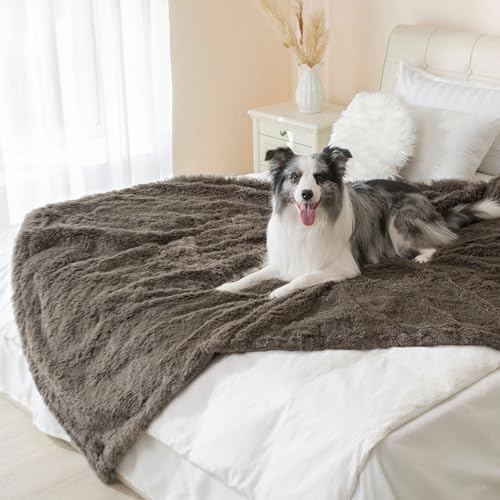gogobunny Waterproof Dog Blanket for Large Dogs, Cats, Puppy, Reversible Faux Fur Pet Throw Blanket, Washable, Calming Furniture Protection for Sofa Bed (60x80 Inch (Pack of 1), Stone)
