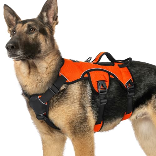 rabbitgoo Escape Proof Harness (Orange)