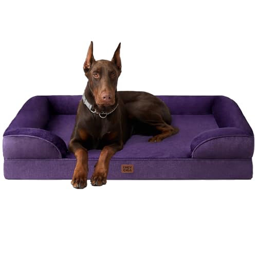 Best Elevated Mats for Short-Legged Breeds (2026)