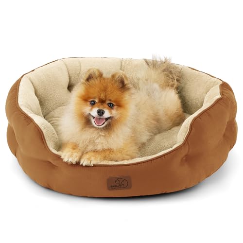 Bedsure Dog Beds for Small Dogs - Round Cat Beds for Indoor Cats, Washable Pet Bed for Puppy and Kitten with Slip-Resistant Bottom, 25 Inches, Terracotta