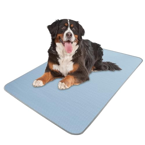 Best Cooling Pads for Dog Crates to Prevent Overheating (2026)