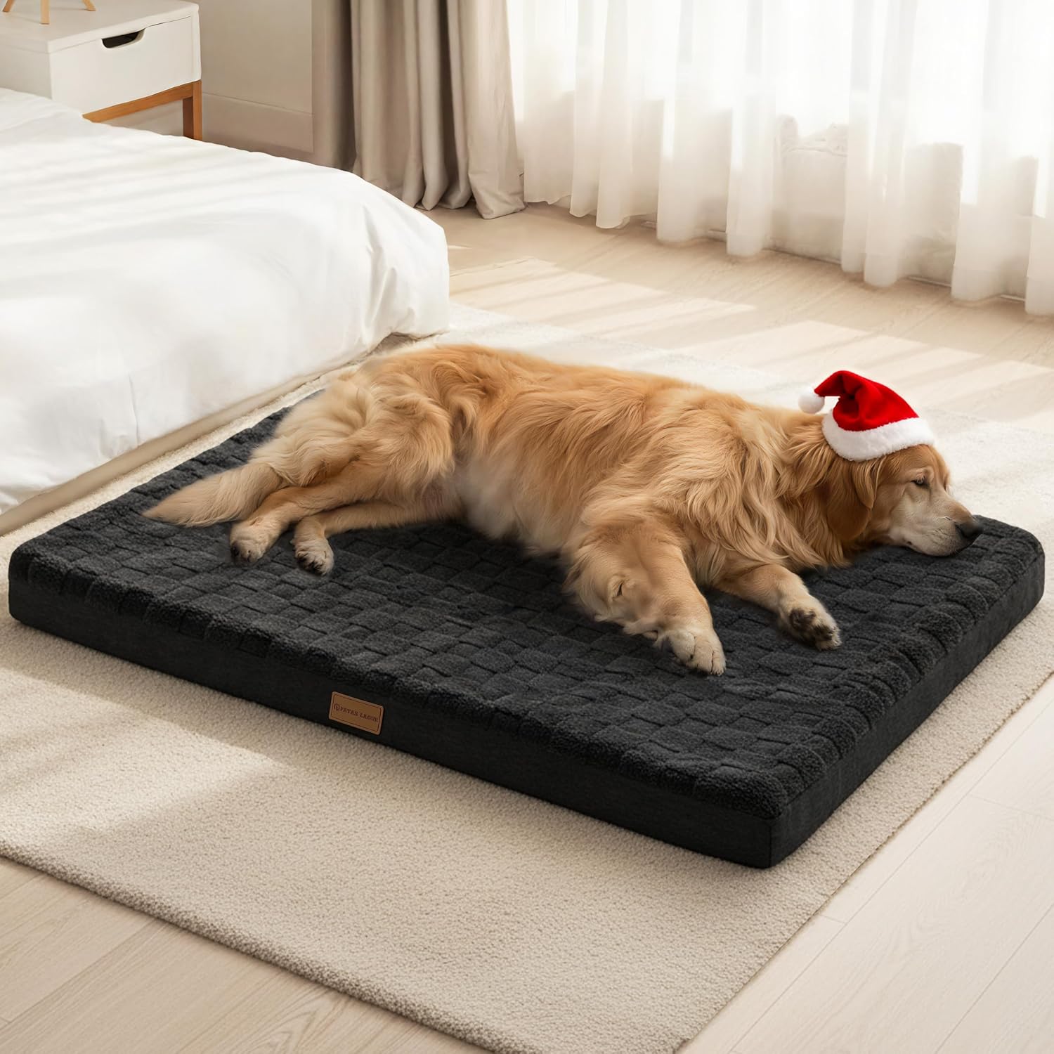 Patas Lague Orthopedic XL Dog Bed