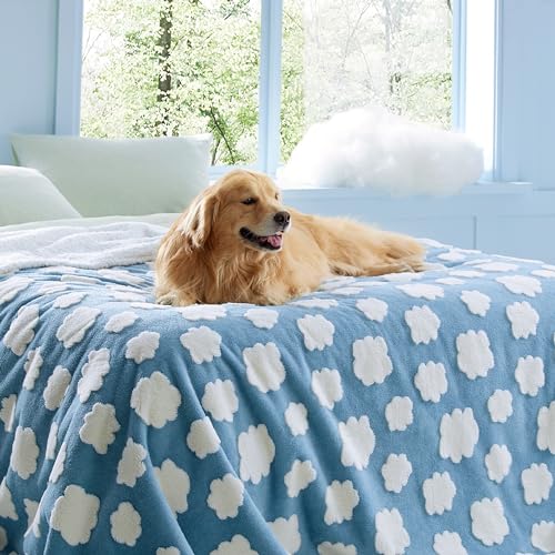 LE SURE Waterproof Dog Blanket