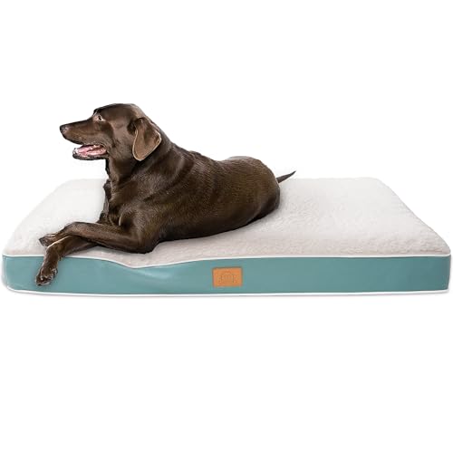 Extra Large Orthopedic Dog Bed (Blue)