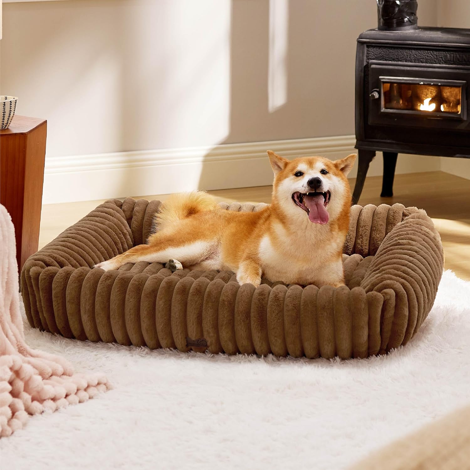 How to Keep Senior Dogs Cool Without Worsening Joint Pain (2026)