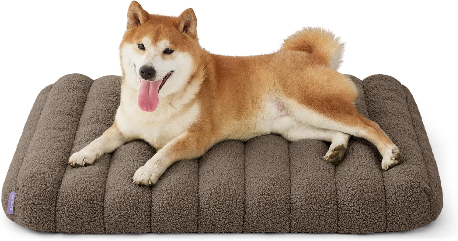 LE SURE Cute Orthopedic Dog Bed