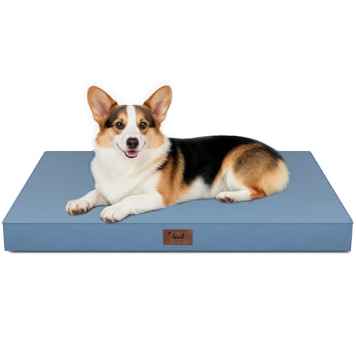 Tail Stories Outdoor Bed (Budget)