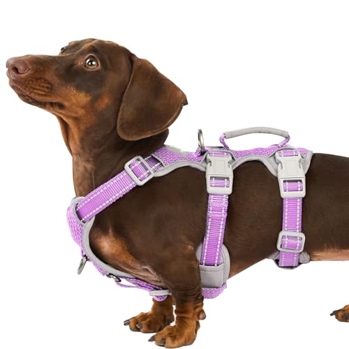 Escape Proof Dog Harness (Lavender)