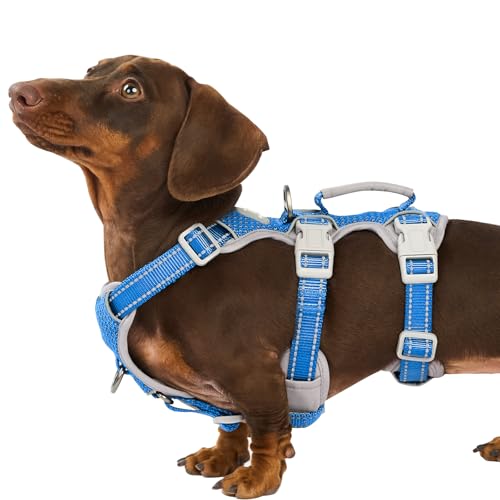 Escape Proof Dog Harness (Sea Blue)