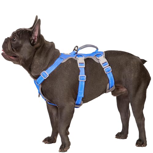 Escape Proof Harness - No Slip Dog Harness, Fully Reflective with Handle, Breathable, Durable, Adjustable Vest for Medium Dogs Walking, Training, and Running Gear (Sea Blue, M)