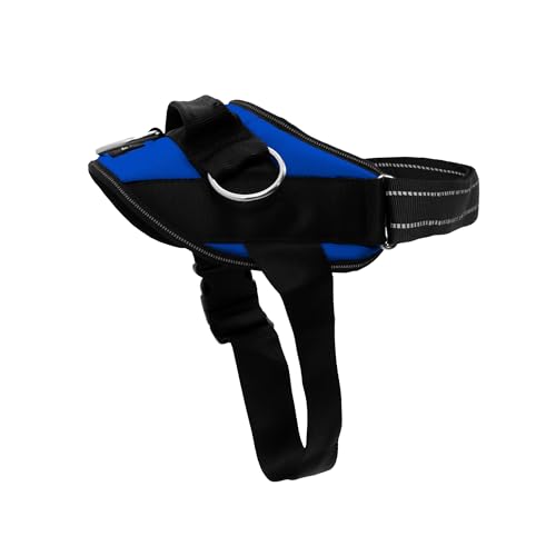 ShawnCo Essential Dog Harness (Electric Blue, M)