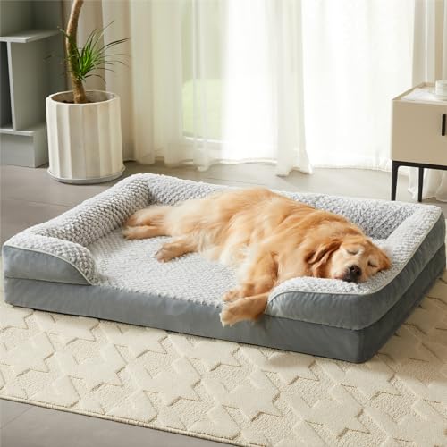 Best Cooling Dog Beds for Hot Weather (2026 Guide)