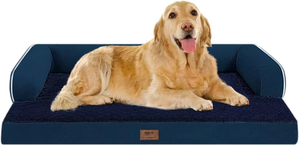 Best Elevated Dog Beds for Camping & Travel (2026 Guide)
