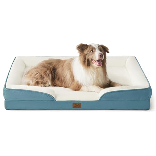 Memory Foam vs Orthopedic vs Elevated Dog Beds (2026 Comparison)