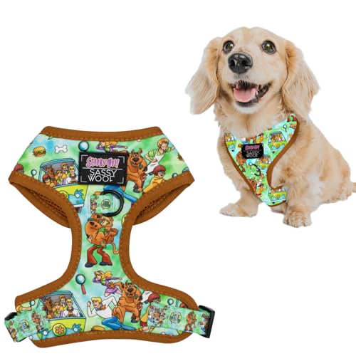 Dog Adjustable Harness - Scooby-DooTM - XS