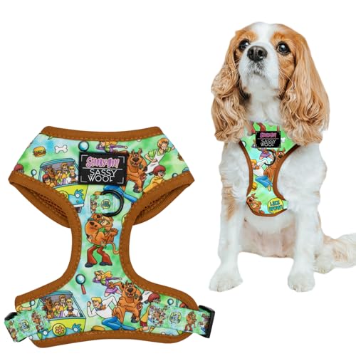 Dog Adjustable Harness - Scooby-DooTM - S