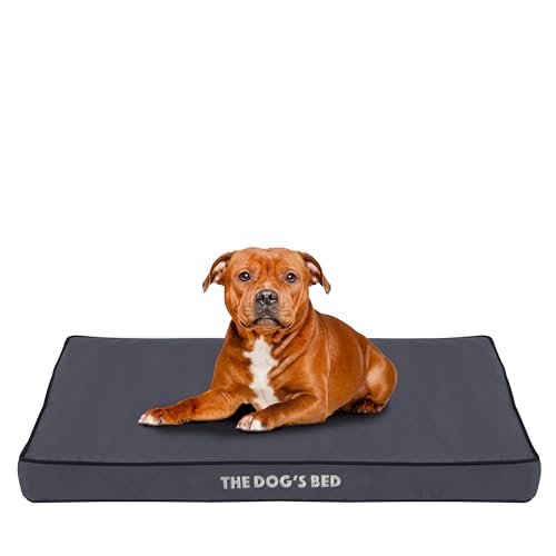 The Dogs Bed Orthopedic Dog Bed, Large Grey with Black Trim, Waterproof, Supportive Dog Bed with Washable Replaceable Covers, Veterinary Approved
