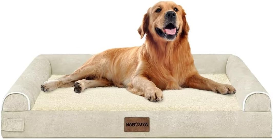 Best Removable-Cover Dog Beds for Easy Cleaning (2026)