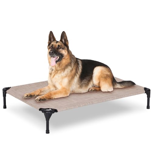 How to Keep Dogs Cool While Camping: Beds, Vests & Hydration (2026)