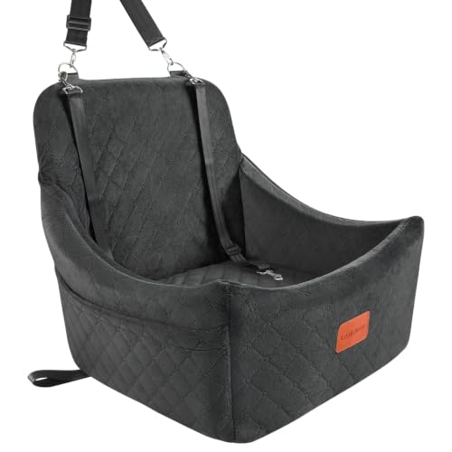 Best Car Seat Protectors for Two Dogs Sharing a Backseat (2026 Guide)