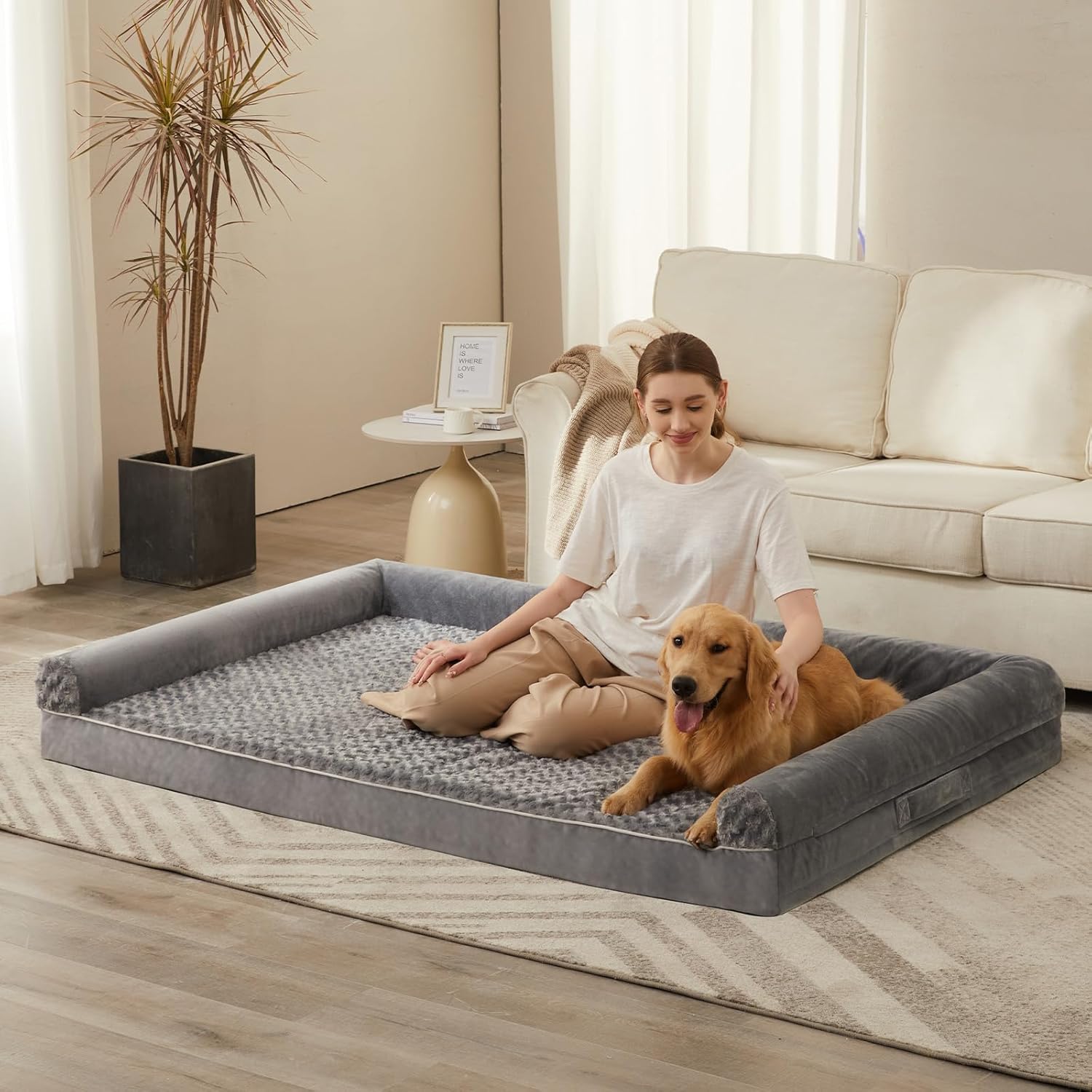 How to Protect Porch Dog Beds from Sun, Rain, and Moisture (2026)