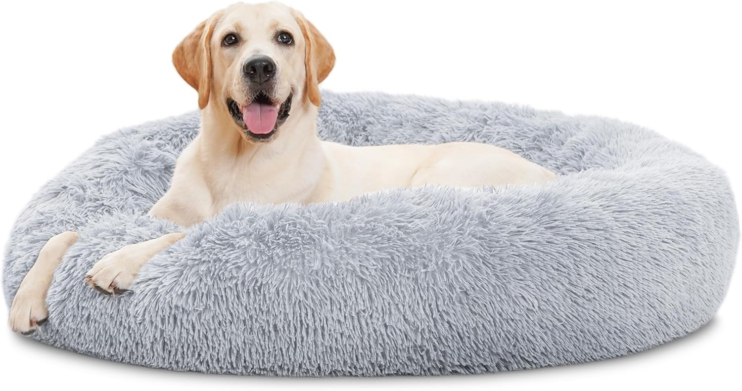 Best Memory Foam Dog Beds That Don't Sag (2026)