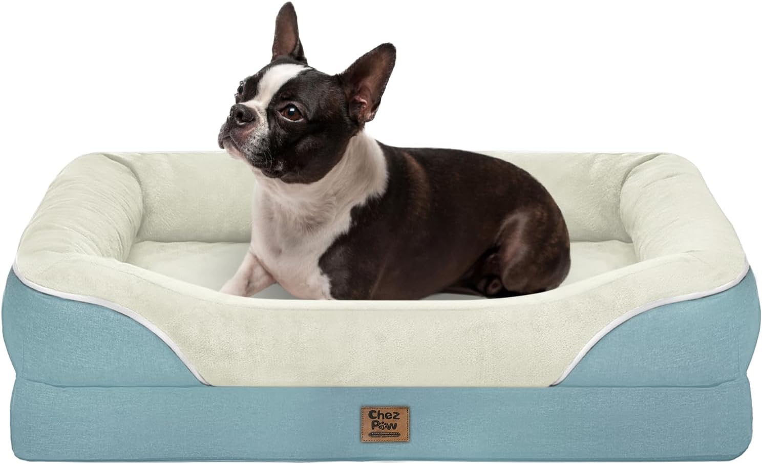 Best Dog Bed Mats to Protect Furniture During Home Renovation (2026)