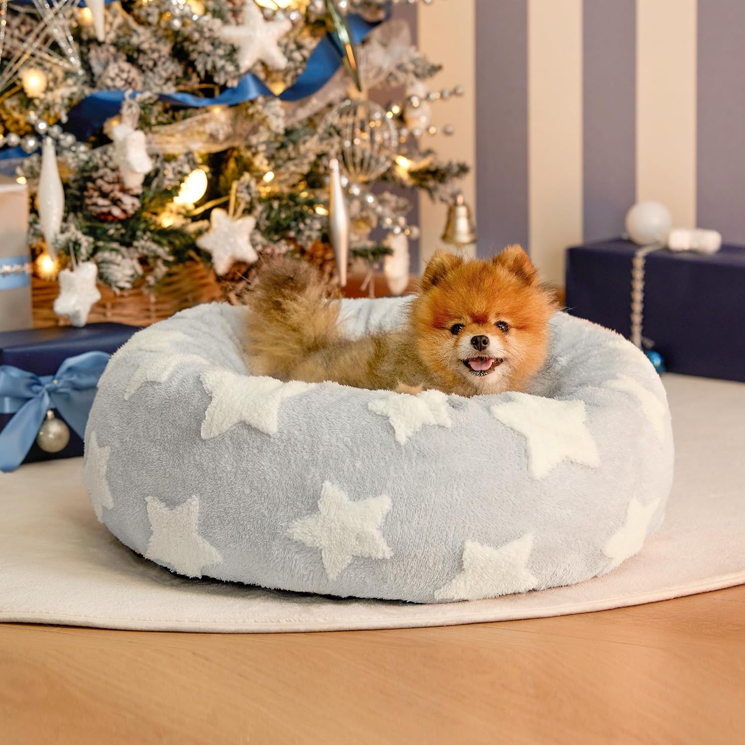 Best Cooling Mats vs. Elevated Beds: Which Keeps Dogs Cooler? (2026)