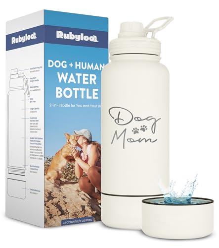 How to Keep Water Cool During Long Hikes With Dogs (2026)